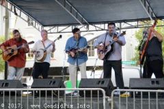 World of Bluegrass 2017