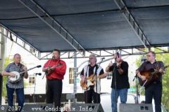 World of Bluegrass 2017