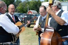 Mansfield Jamfest