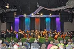 DSC_7355_edited-1