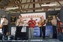 marshall-17-272