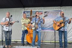Norwalk Music Festival