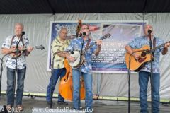 Norwalk Music Festival