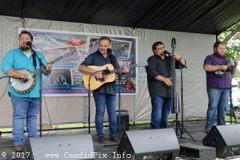 Norwalk Music Festival