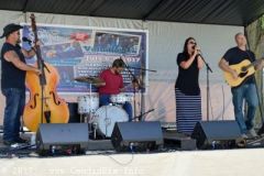 Norwalk Music Festival