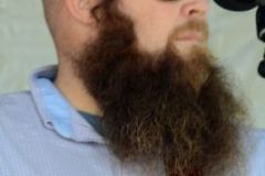 Norwalk Music Festival