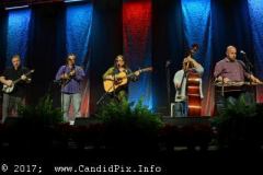 DSC_7324-copy