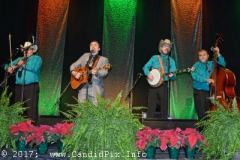 DSC_7391-copy