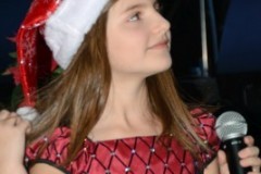 Bluegrass Christmas in the Smokies