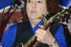 Bluegrass Christmas in the Smokies