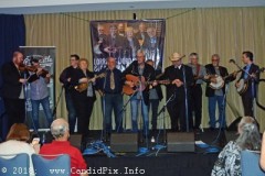 True Grass Showcase at World of Bluegrass