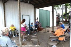 Marshall Bluegrass Festival 2018