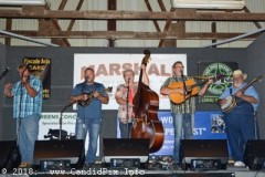 Marshall Bluegrass Festival 2018