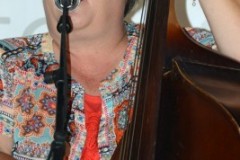 Marshall Bluegrass Festival 2018