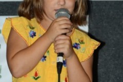 Marshall Bluegrass Festival 2018