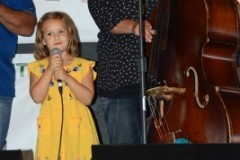 Marshall Bluegrass Festival 2018