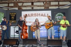 Marshall Bluegrass Festival 2018