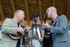 Milan bluegrass Festival 2018