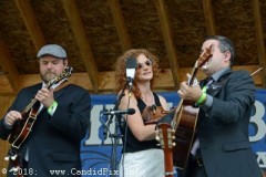 Milan bluegrass Festival 2018