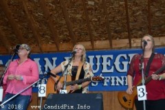 Milan bluegrass Festival 2018