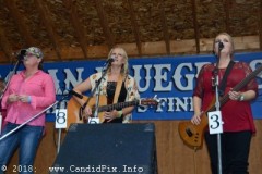 Milan bluegrass Festival 2018