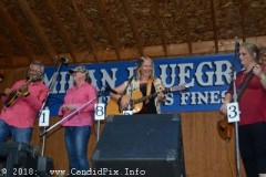 Milan bluegrass Festival 2018
