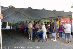 Nothin' Fancy Bluegrass Festival