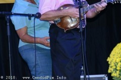 Nothin' Fancy Bluegrass Festival