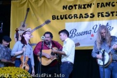Nothin' Fancy Bluegrass Festival