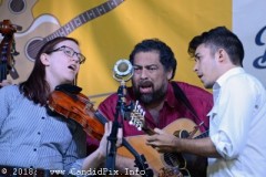 Nothin' Fancy Bluegrass Festival