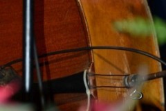 Southern Ohio Indoor Music Festival  11-18