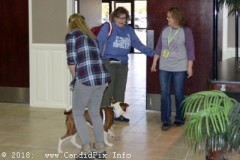 Southern Ohio Indoor Music Festival  11-18