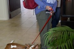 Southern Ohio Indoor Music Festival  11-18