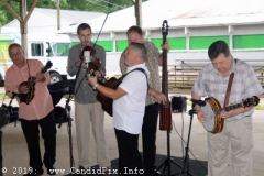 Charlotte Bluegrass Festival 2019