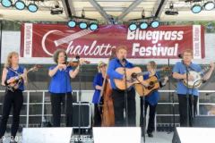 Charlotte Bluegrass Festival 2019