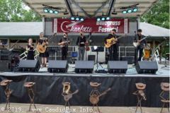 Charlotte Bluegrass Festival 2019