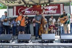 Charlotte Bluegrass Festival 2019