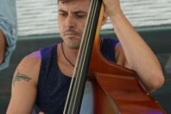 Charlotte Bluegrass Festival 2019