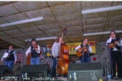 Platka Spring bluegrass Festival