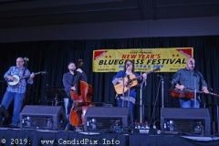 Jekyll Island Bluegrass Festival