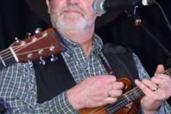 Jekyll Island Bluegrass Festival