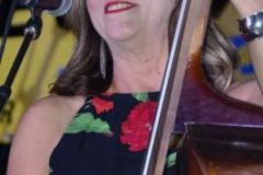 Jekyll Island Bluegrass Festival