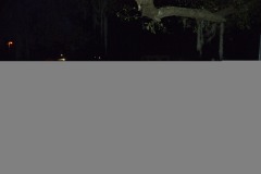 DSC_7582_edited-1