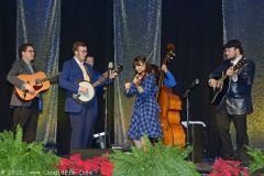 DSC_9816_edited-1