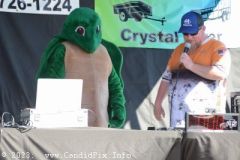 DSC_1988_edited-1