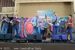 DSC_2211_edited-1