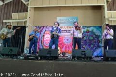 DSC_2216_edited-1