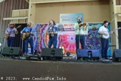 DSC_2217_edited-1