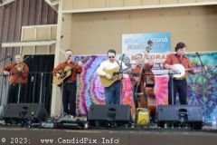 DSC_2331_edited-1
