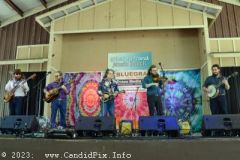 DSC_2335_edited-1
